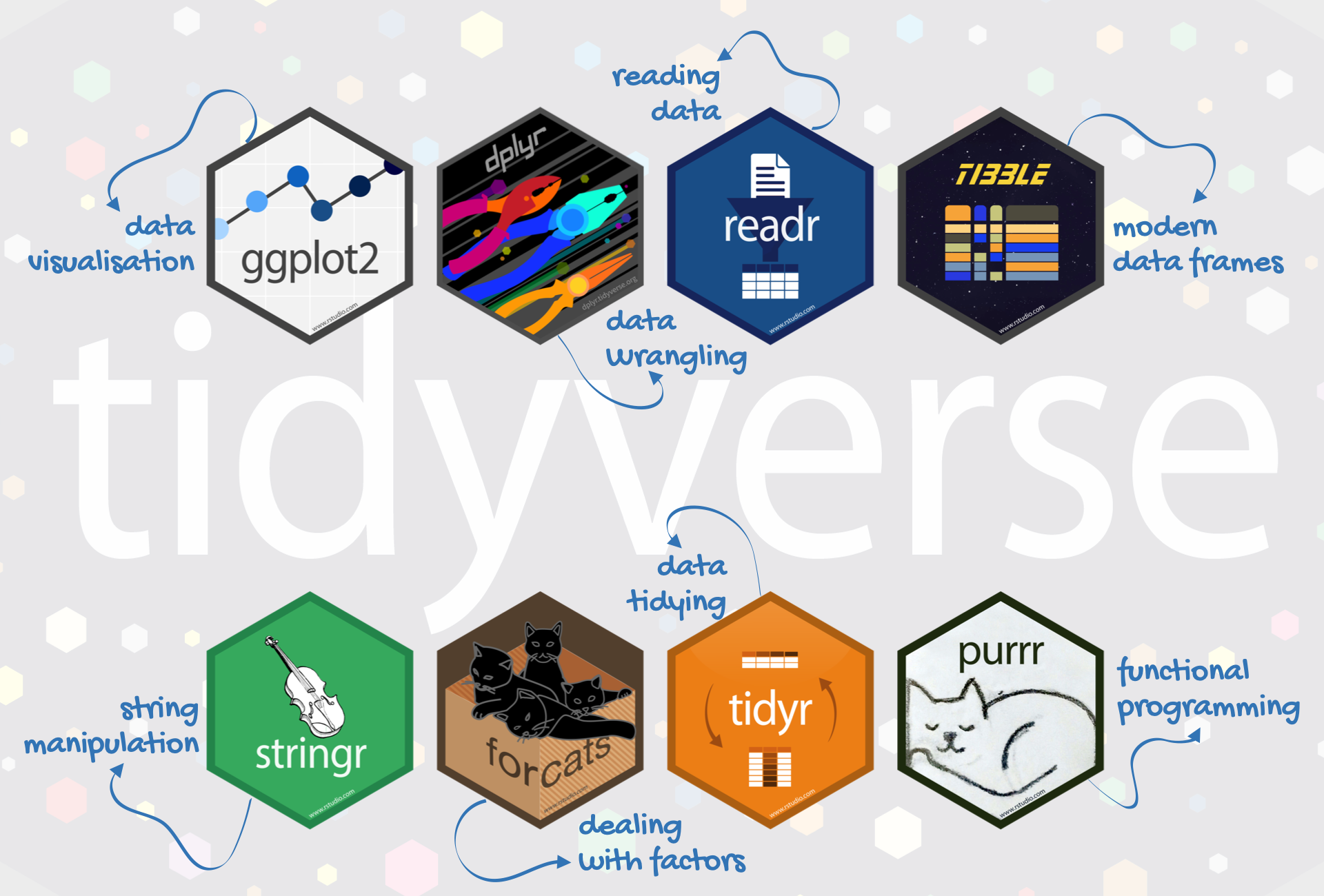 Hex logos for the eight core tidyverse packages and their primary purposes.
